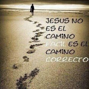 Meet your Posher, Yania